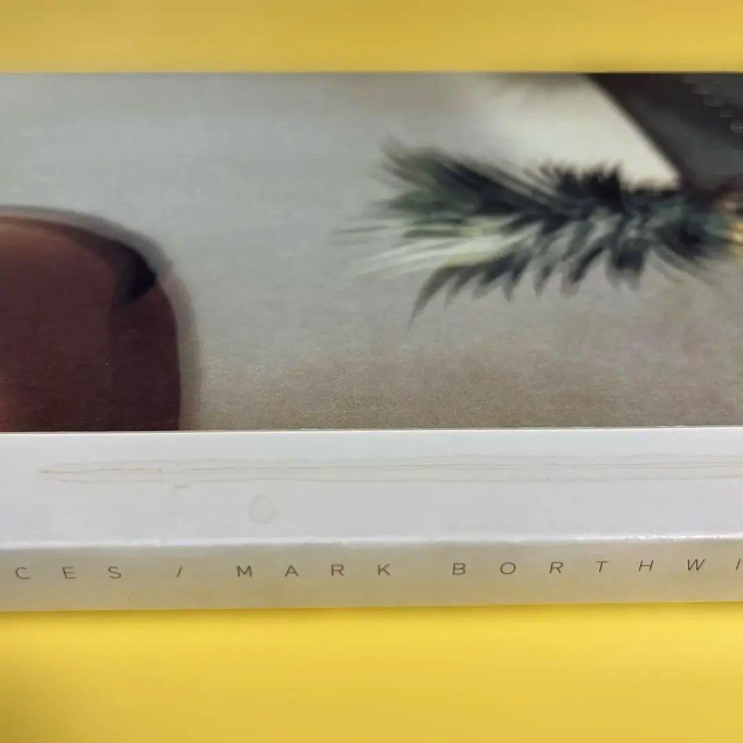 写真集「Synthetic Voices」マーク・ボスウィック 1998年