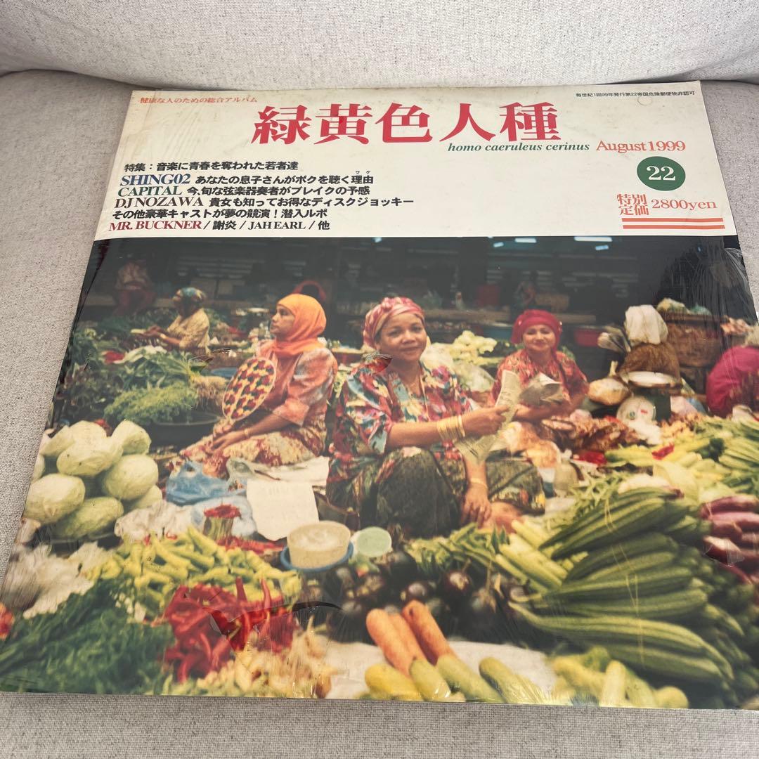 新品 緑黄色人種 SHING 02 DJ NOZAWA 希少 2lp