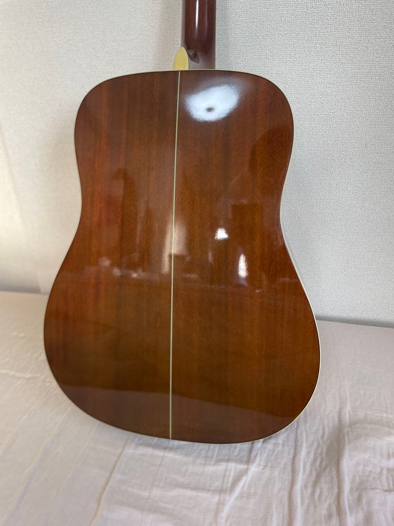 ARIA アコースティックギター ADW-200BS RITTER ソフトケース