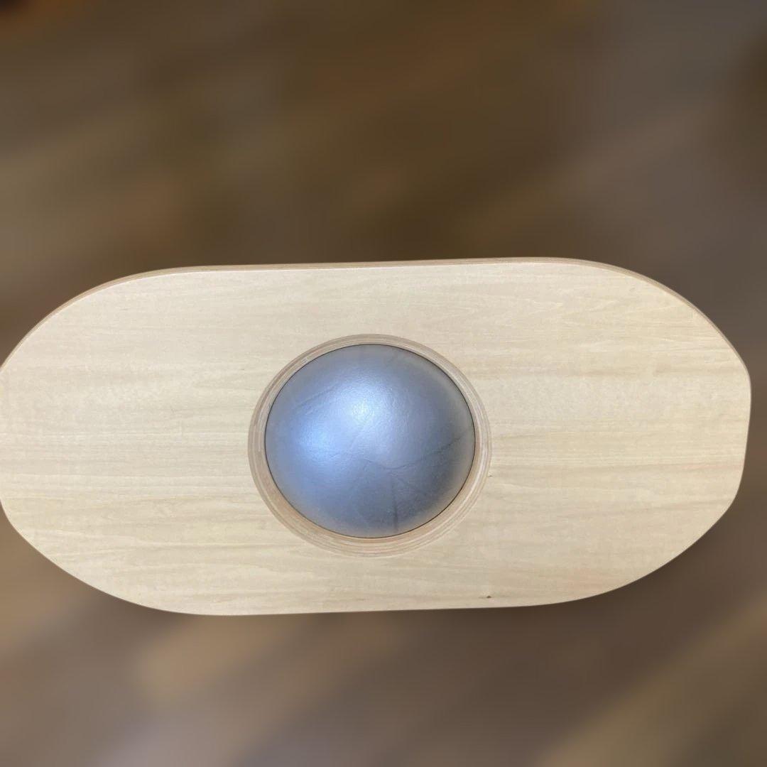 LandSup Crazy mini バランスボード 体幹サーフィン