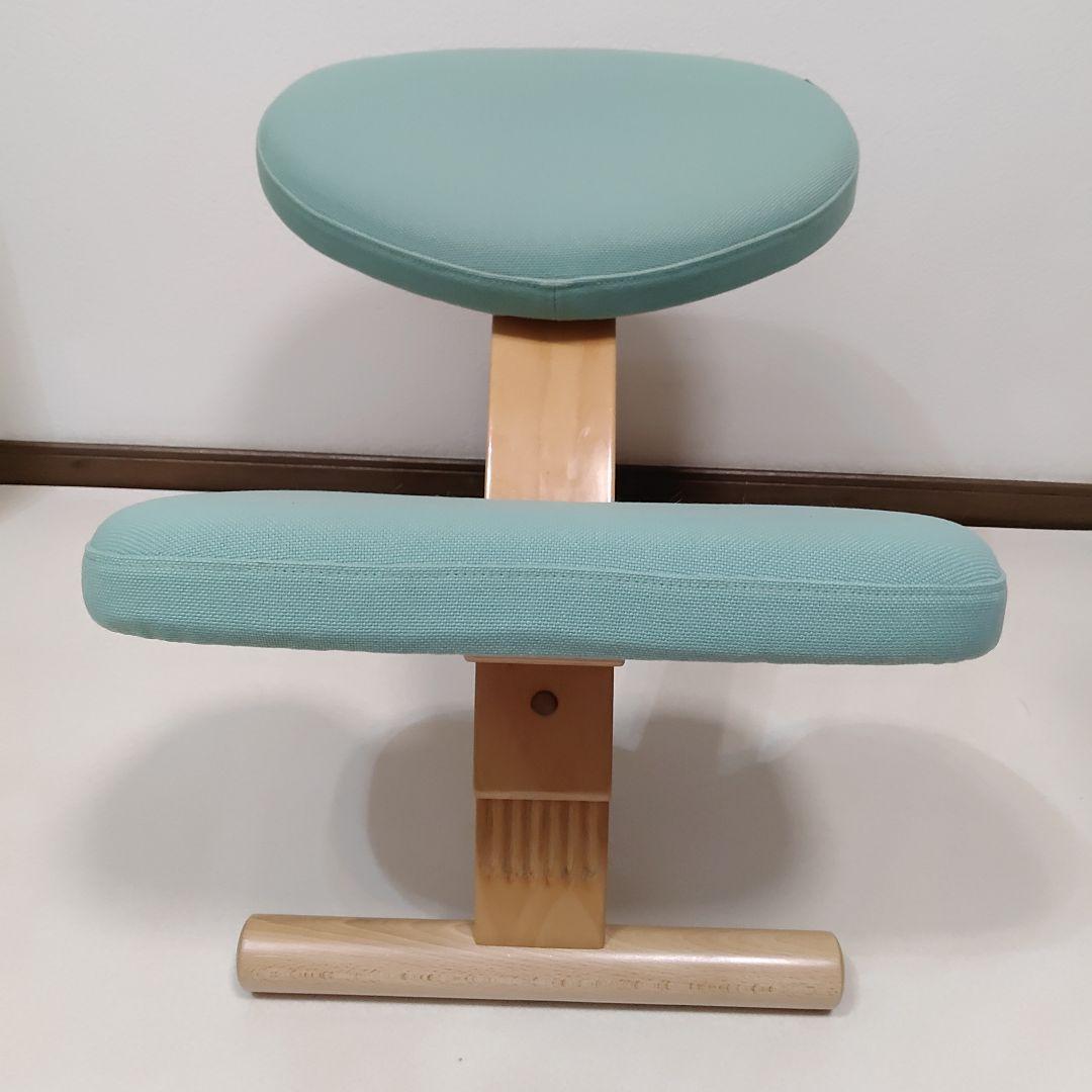 完成品でお届け サカモトハウスRybo リボ社 バランスイージー バランスチェア
