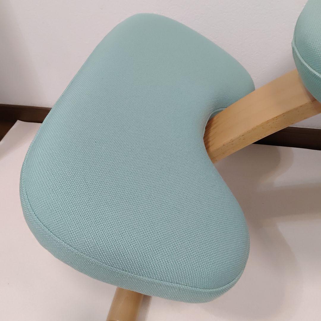 完成品でお届け サカモトハウスRybo リボ社 バランスイージー バランスチェア