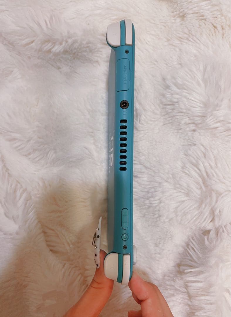 Nintendo Switch Lite 本体＋ケース