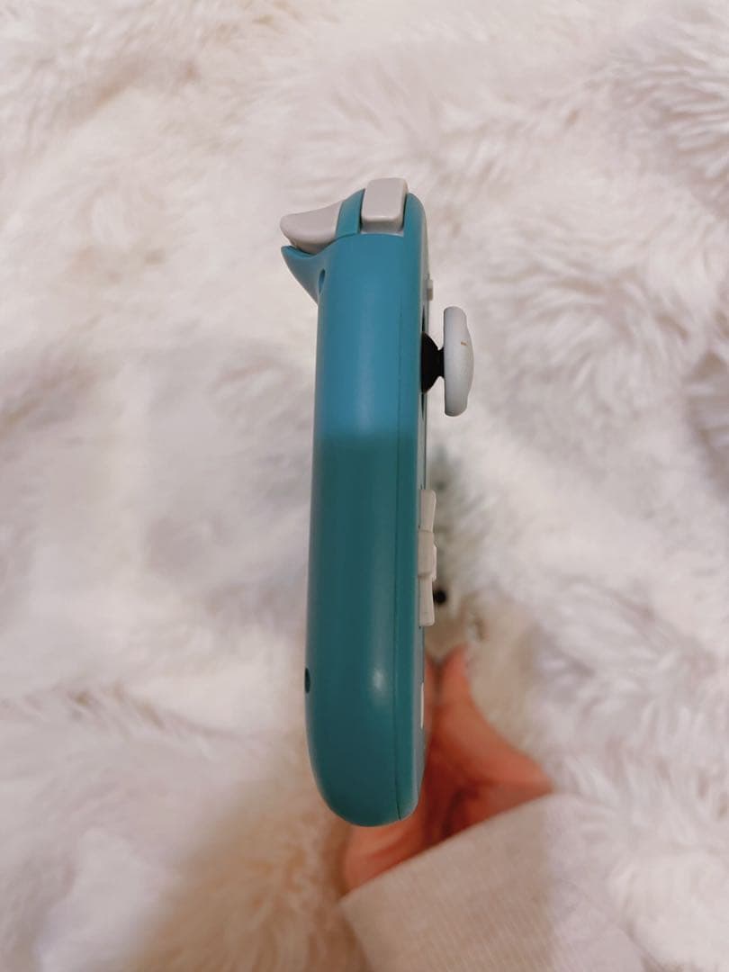 Nintendo Switch Lite 本体＋ケース