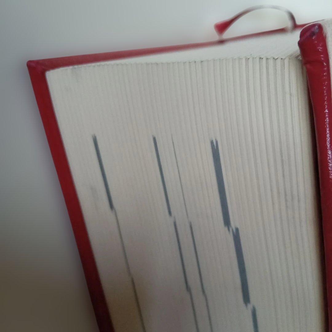 語学・辞書・学習参考書 SYNTHESIS Repertorium opathicum 9.1