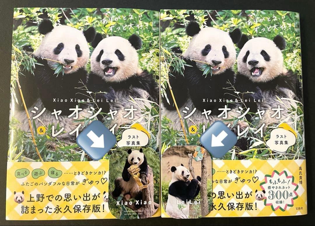 専用　シャオシャオ＆レイレイ