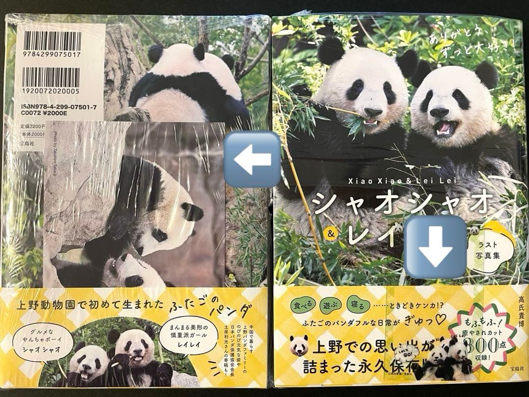 専用　シャオシャオ＆レイレイ