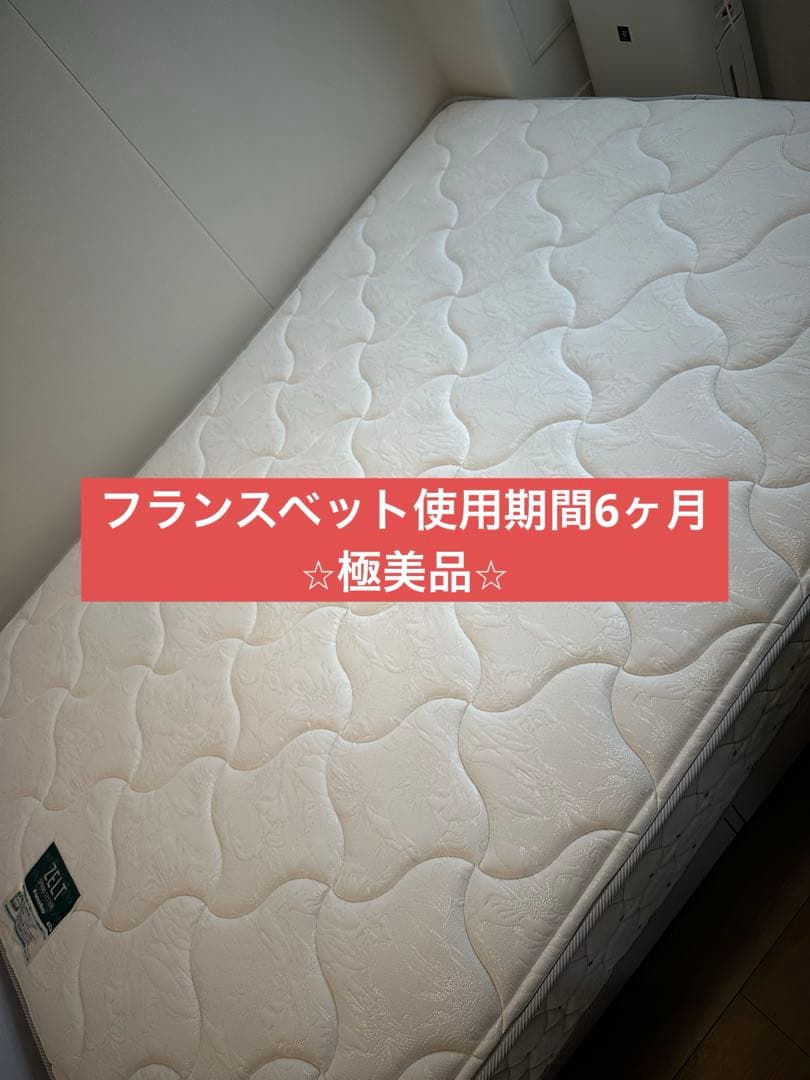 【フランスベット⭐︎ダブルサイズ極美品】