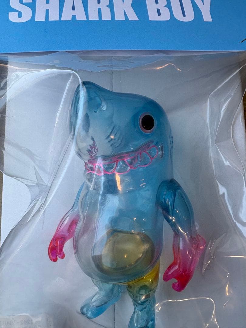 Momoco Studio × 墓場の画廊　SHARK BOY　シャークボーイ
