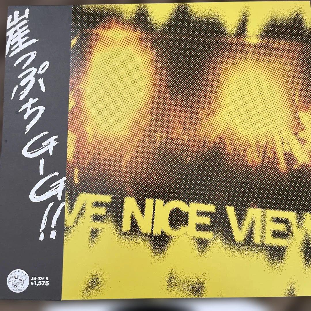 NICE VIEW/ 崖っぷちGIG!! LP