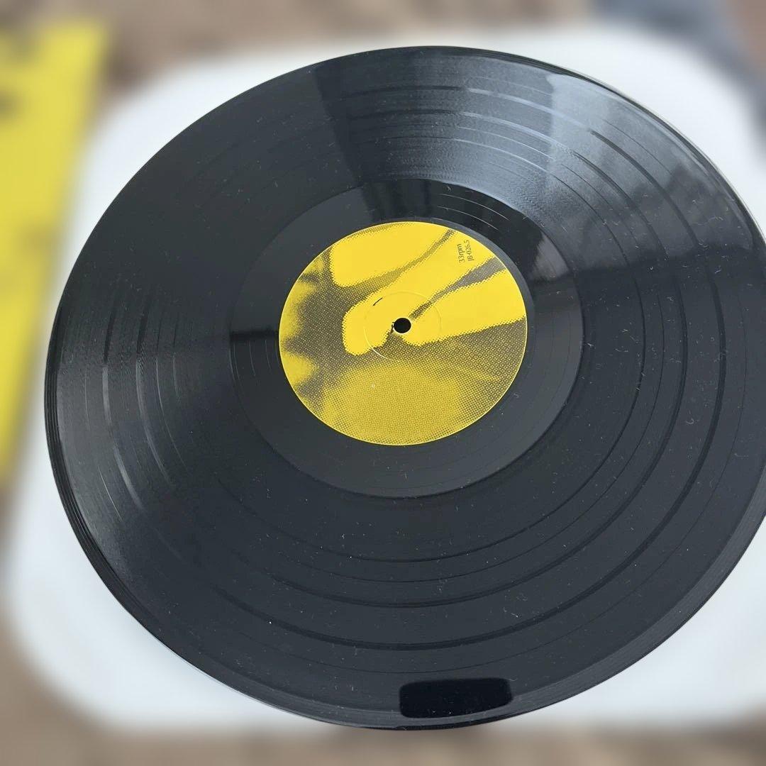 NICE VIEW/ 崖っぷちGIG!! LP