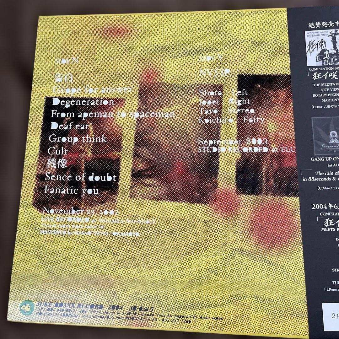 NICE VIEW/ 崖っぷちGIG!! LP