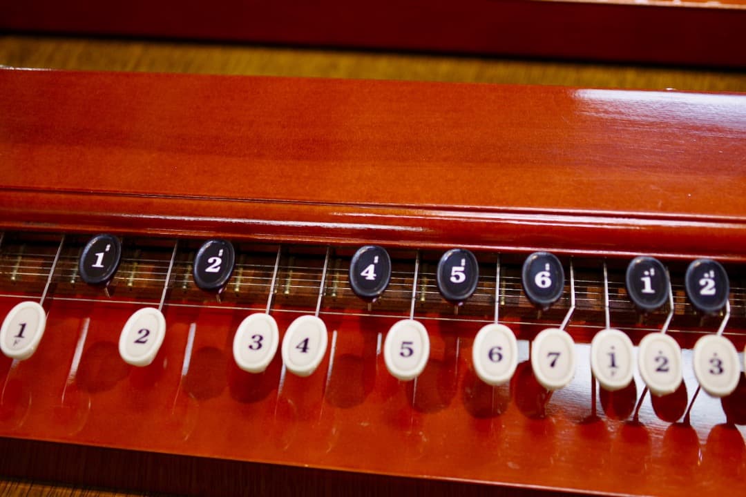 スズキ大正琴「砂丘」4本（ソフトケース付）