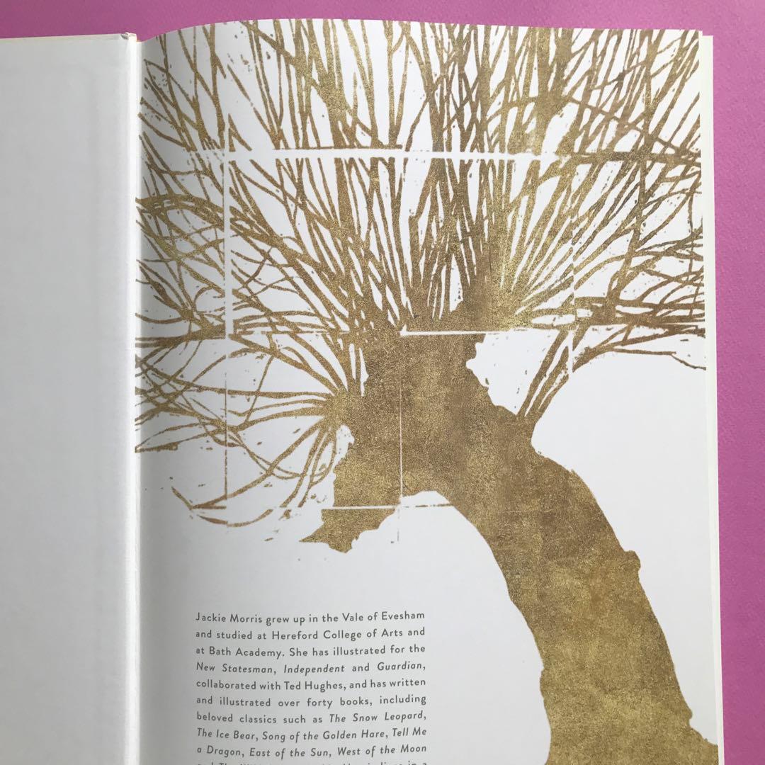 洋書 The Lost Words Robert Macfarlane