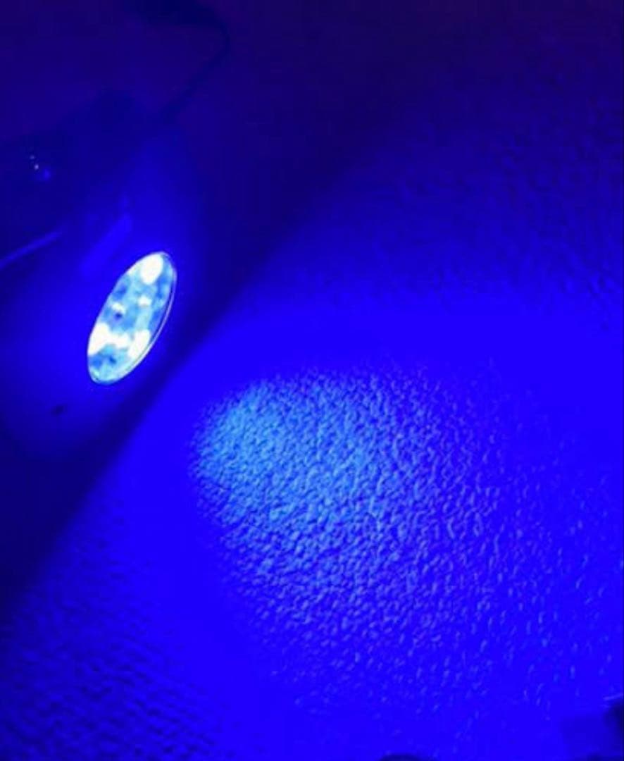 AI prime 16 海水用