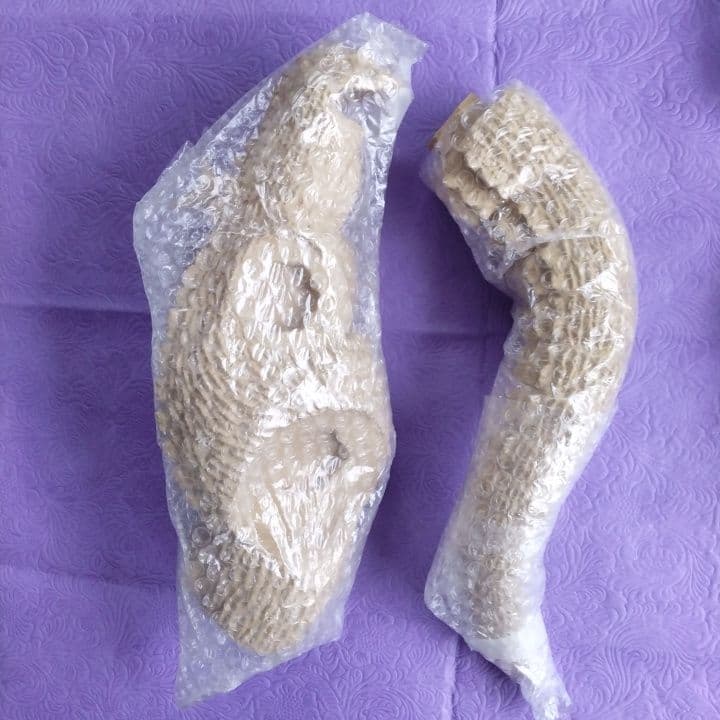 マーミット 30㎝ キンゴジ