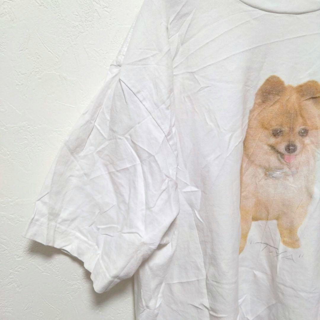 希少【М】ロザリア ポメラニアン Tシャツ モトマミ 犬T　Rosalía