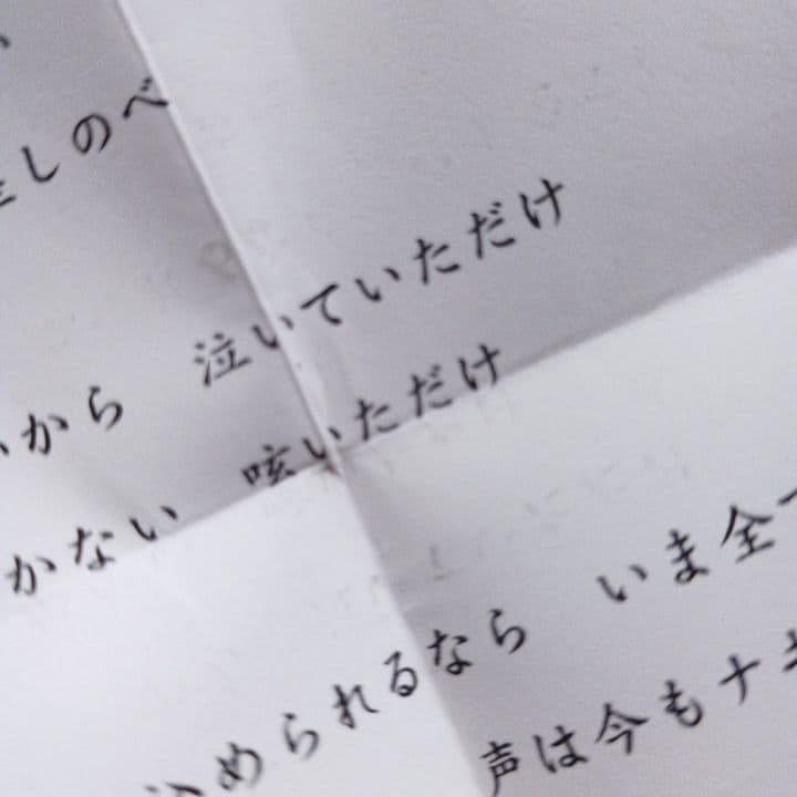 CRAPJOE Cat was Dead 野崎森男 野崎真助 CD Morio