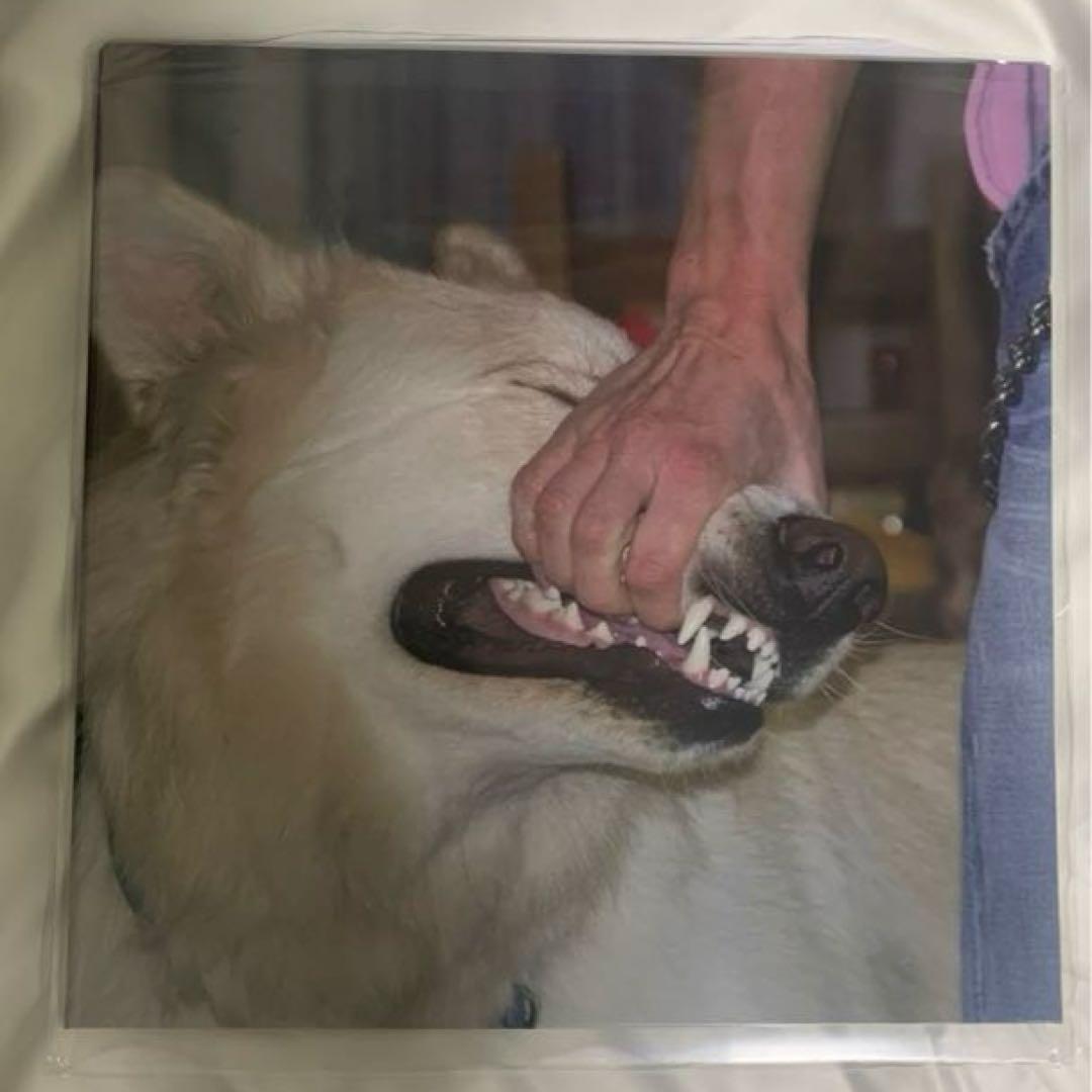 sign crushes motorist「I'll Be Okay」　LP