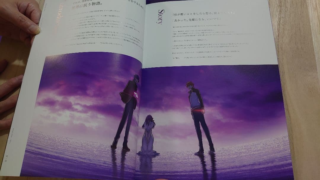 劇場版 Fate heaven's feel HF パンフレット 豪華版 3冊