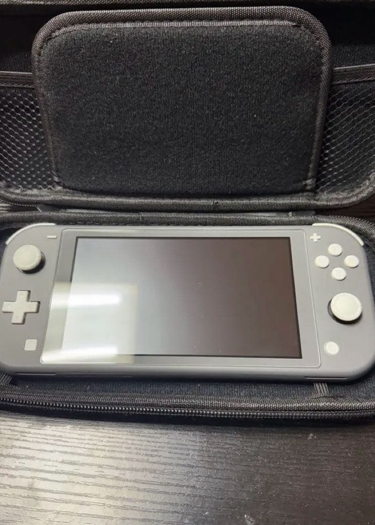 Nintendo SwitchLiteグレー本体 ケースあり充電器付き
