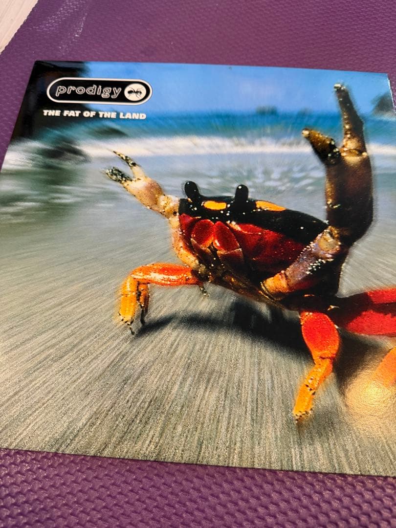 The Prodigy - The Fat of the Land レコード