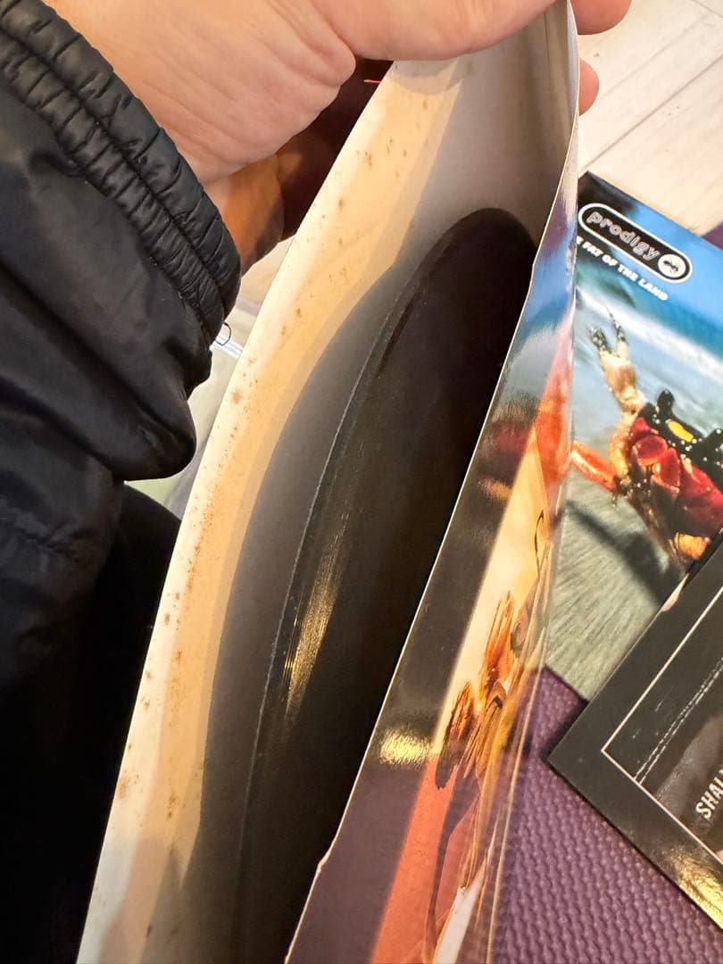 The Prodigy - The Fat of the Land レコード