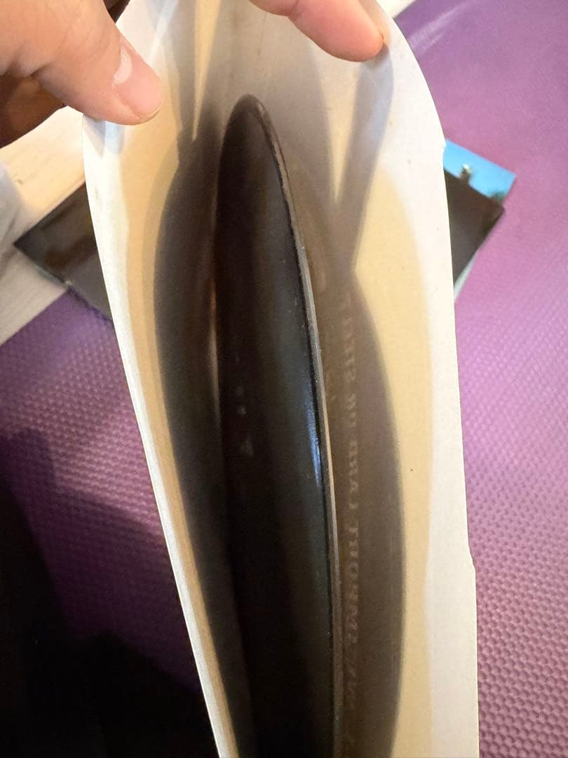 The Prodigy - The Fat of the Land レコード