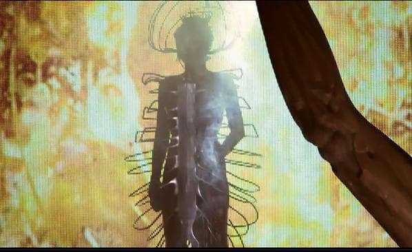 ミレーヌ・ファルメールDVD5［STADE DE RANCE］