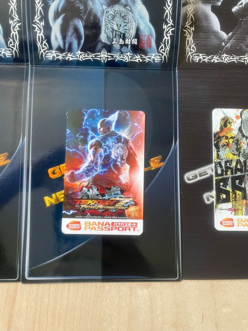 バナパスポート鉄拳