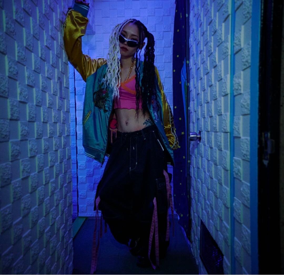 ガルフィー わんわんヤニクソ スカジャン リバーシブル 大型犬 ヒョウ柄 刺繍