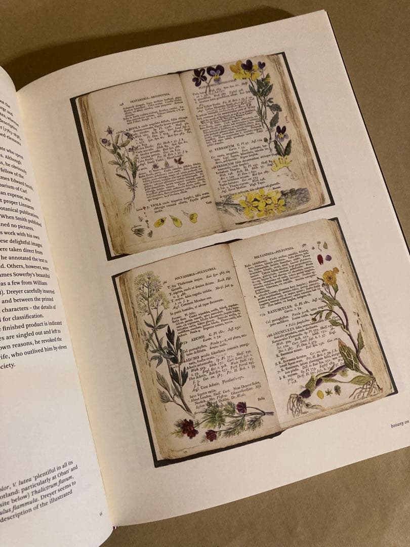 Botanical Sketchbooks 植物　スケッチ　絵画　洋書