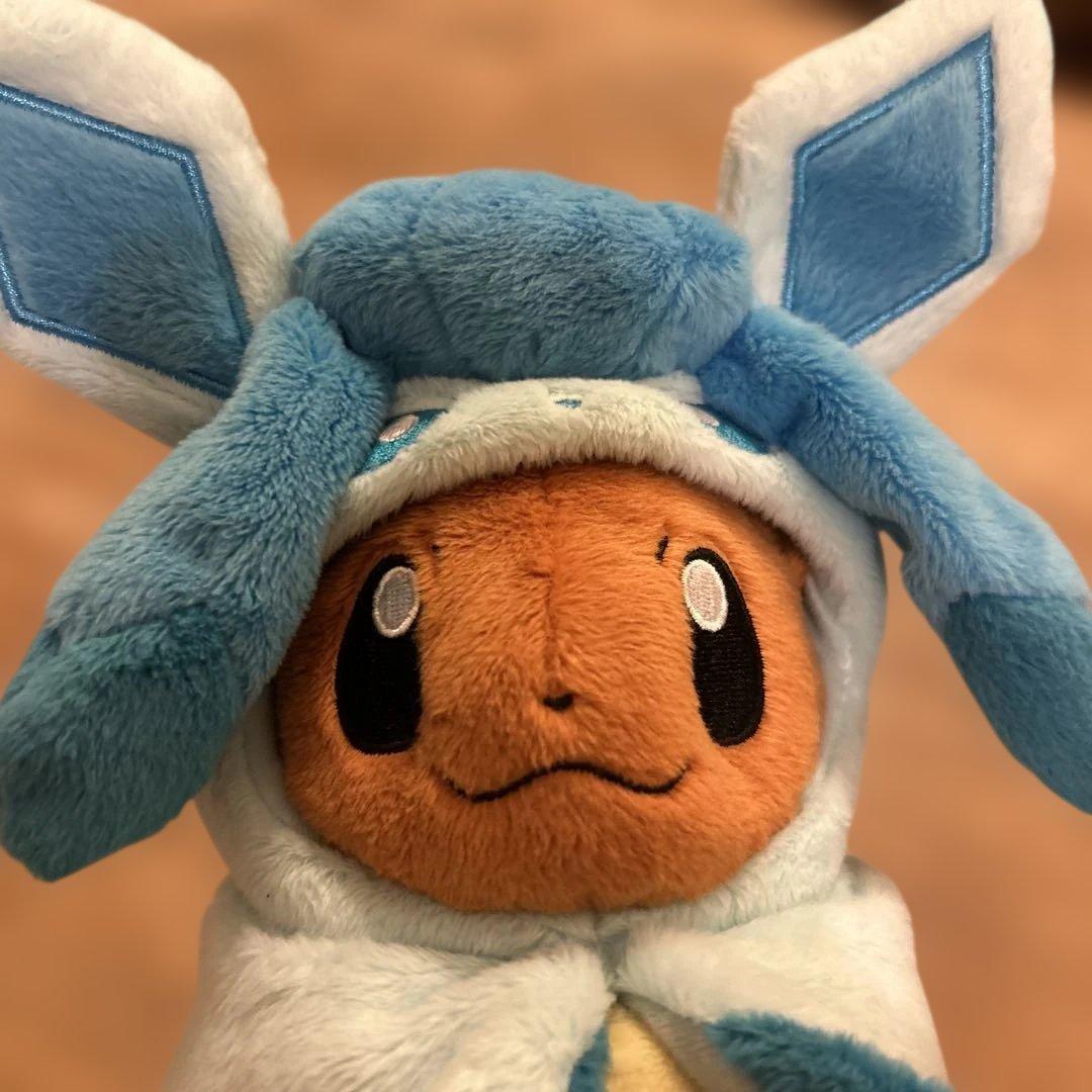 ポケモンセンター ぬいぐるみ 2017年 ポンチョを着たイーブイ　グレイシアのみ