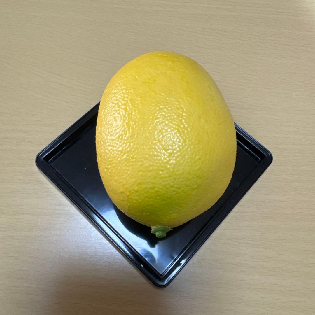 平手友梨奈 欅坂46 ザ・テレビジョン サイン入りレプリカレモン ※当選通知書付