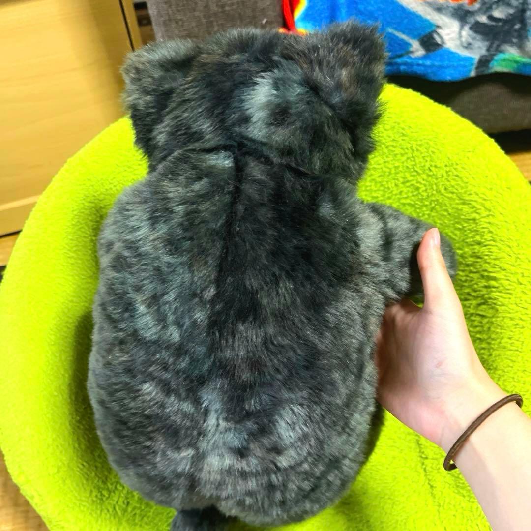 Cuddly ぬいぐるみ 猫 ソメゴロー