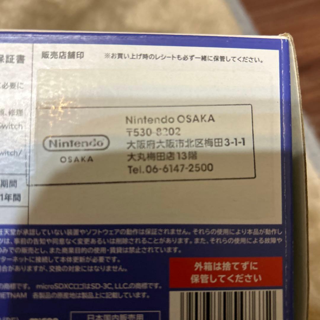 Nintendo Switch Lite 青 不動　水没