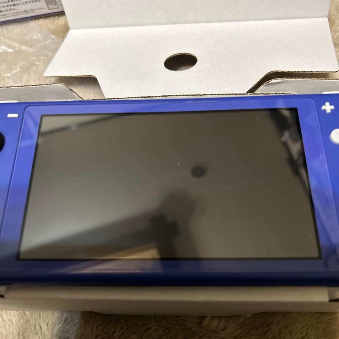 Nintendo Switch Lite 青 不動　水没
