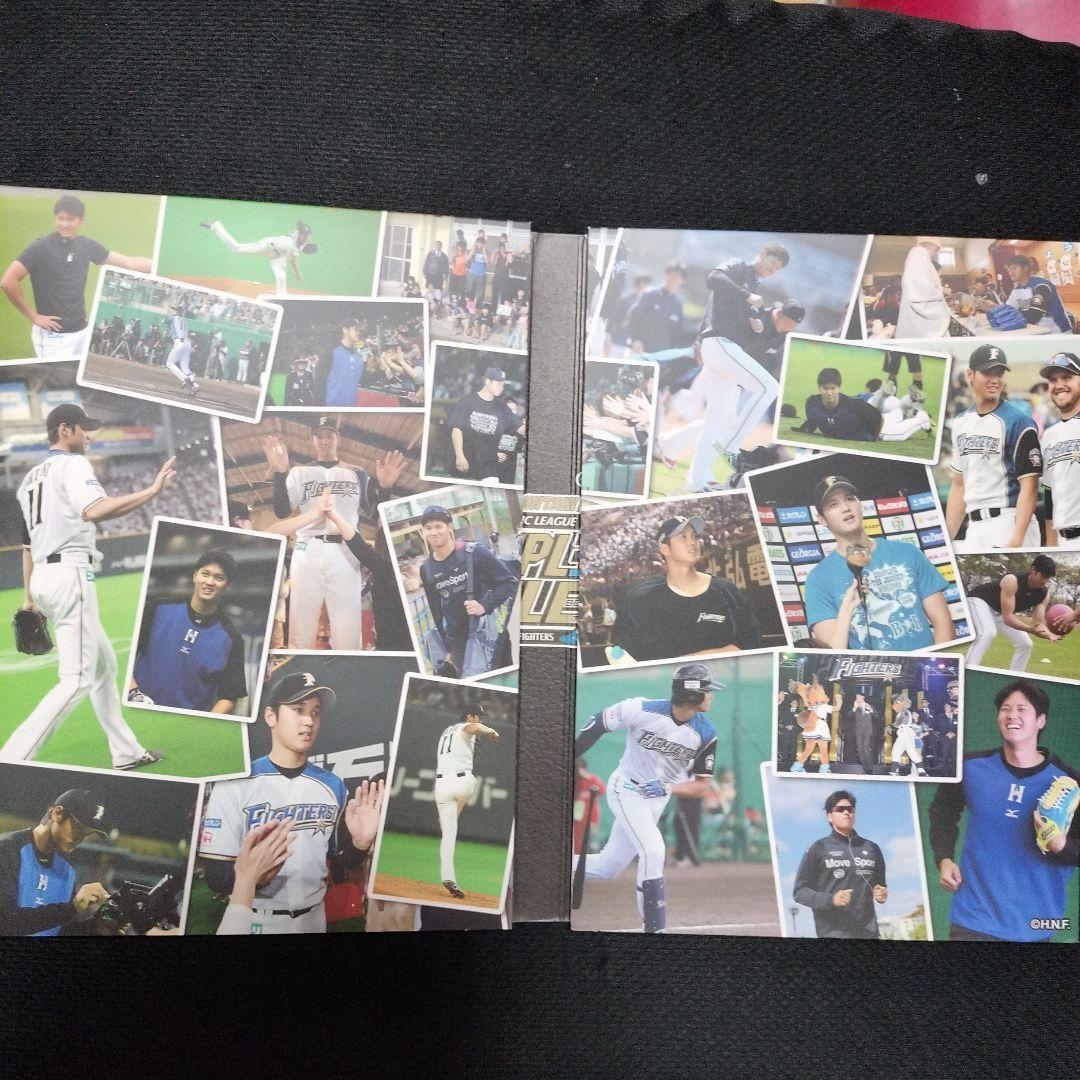 大谷翔平/北海道日本ハムファイターズ 大谷翔平 投手三冠への軌跡〈2枚組〉