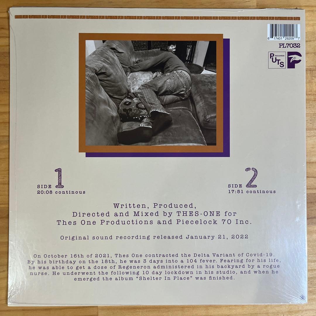 THES ONE SHELTER IN PLACE 入手困難！