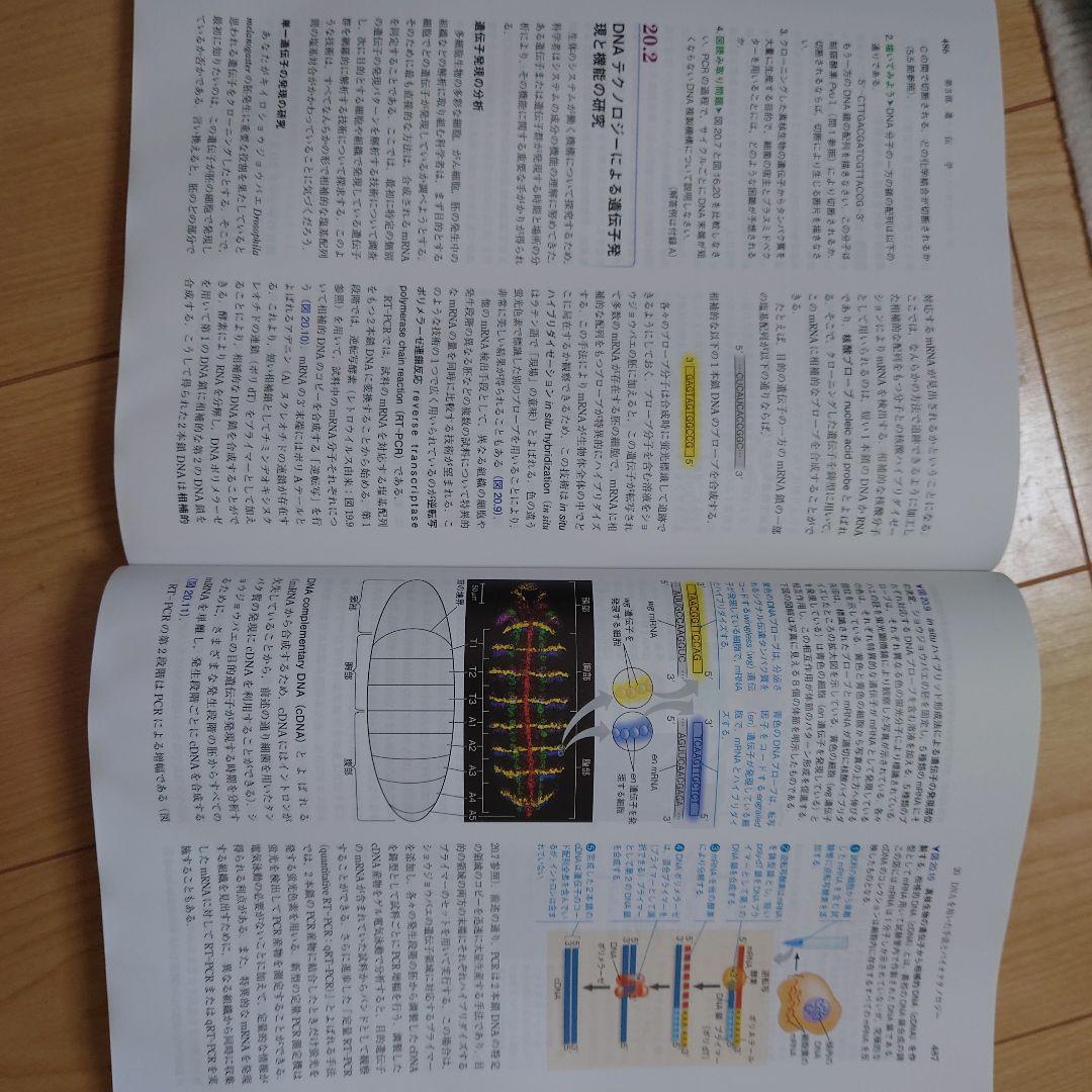 な*ん様 キャンベル生物学 第11版