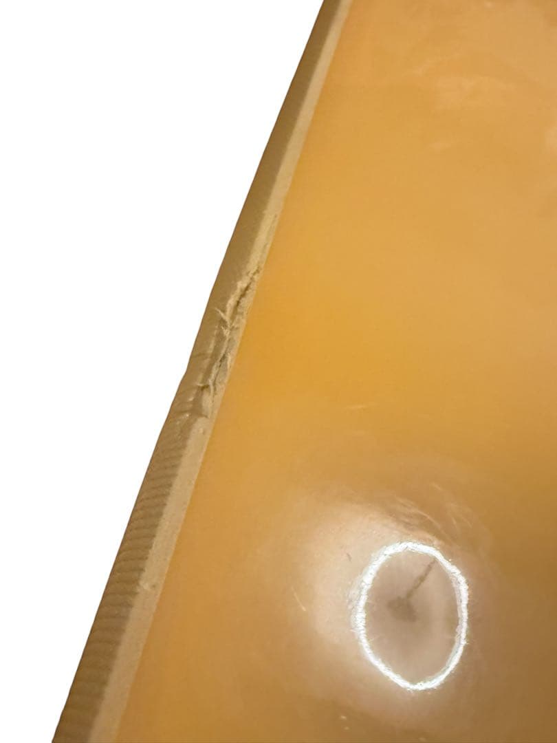 Beach Access ビーチアクセス ロング ソフトボード 8.0 73L