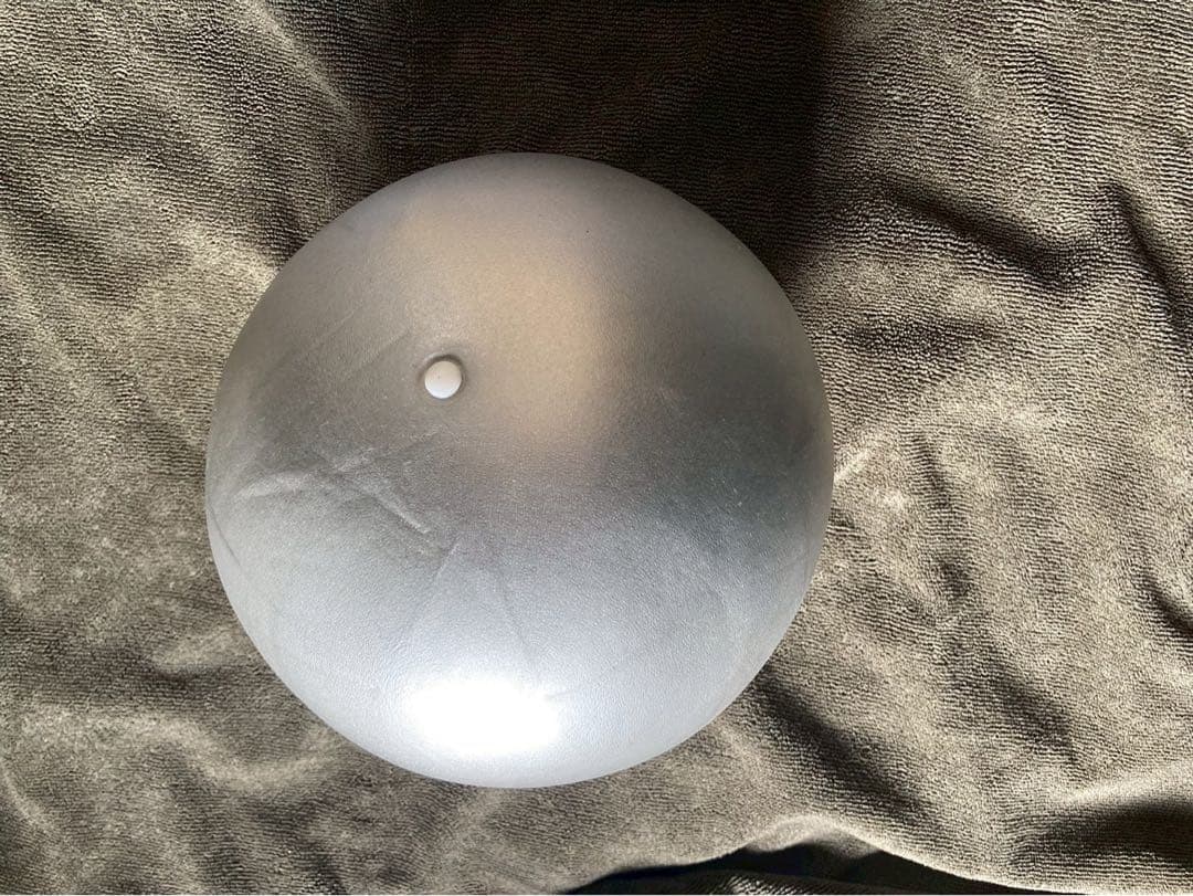 LandSup Crazy mini バランスボード　トートバッグ付き