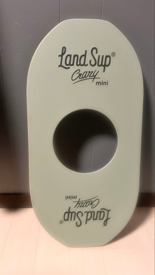 LandSup Crazy mini バランスボード　トートバッグ付き