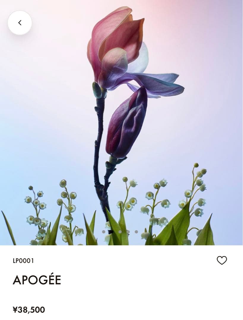 2個セット　ルイヴィトン　香水