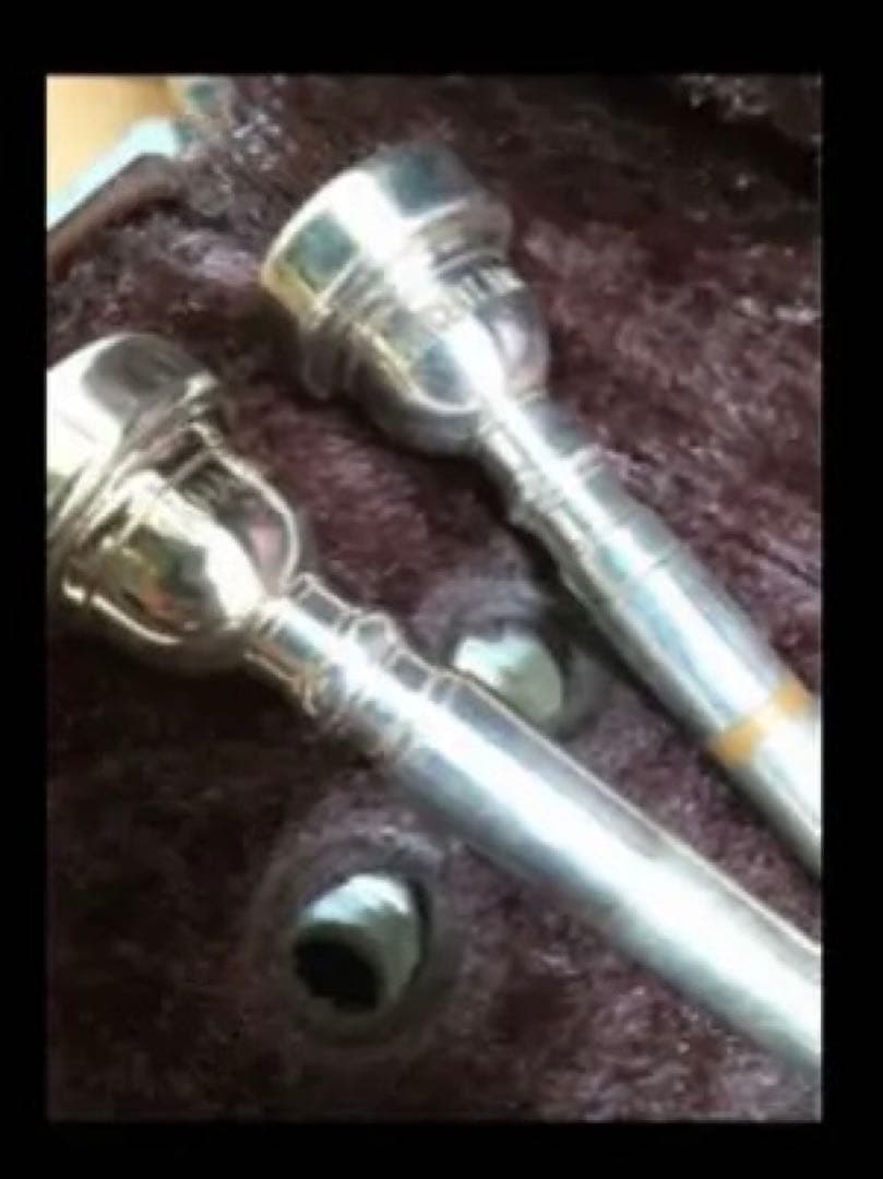 トランペット 本体 ケース　マッピ付き