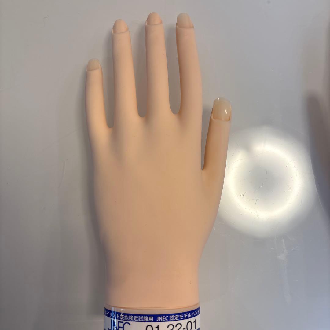 JNEC ネイルアート練習用手モデル 01-22-01