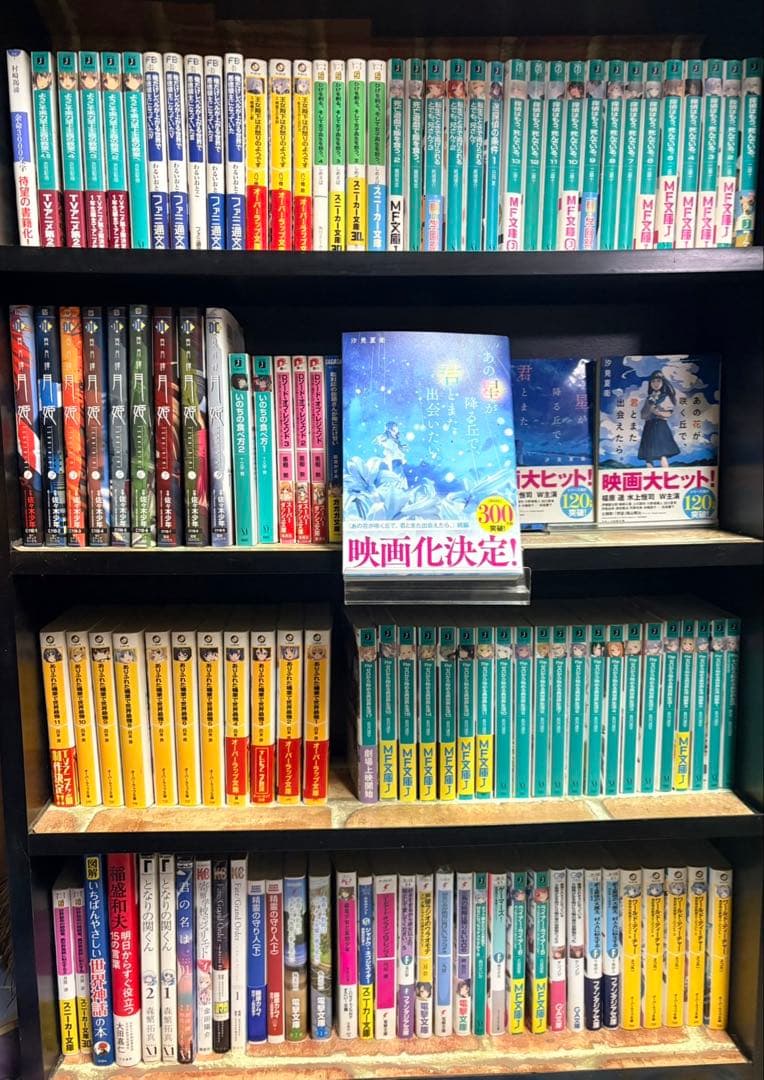 小説・漫画まとめ売り