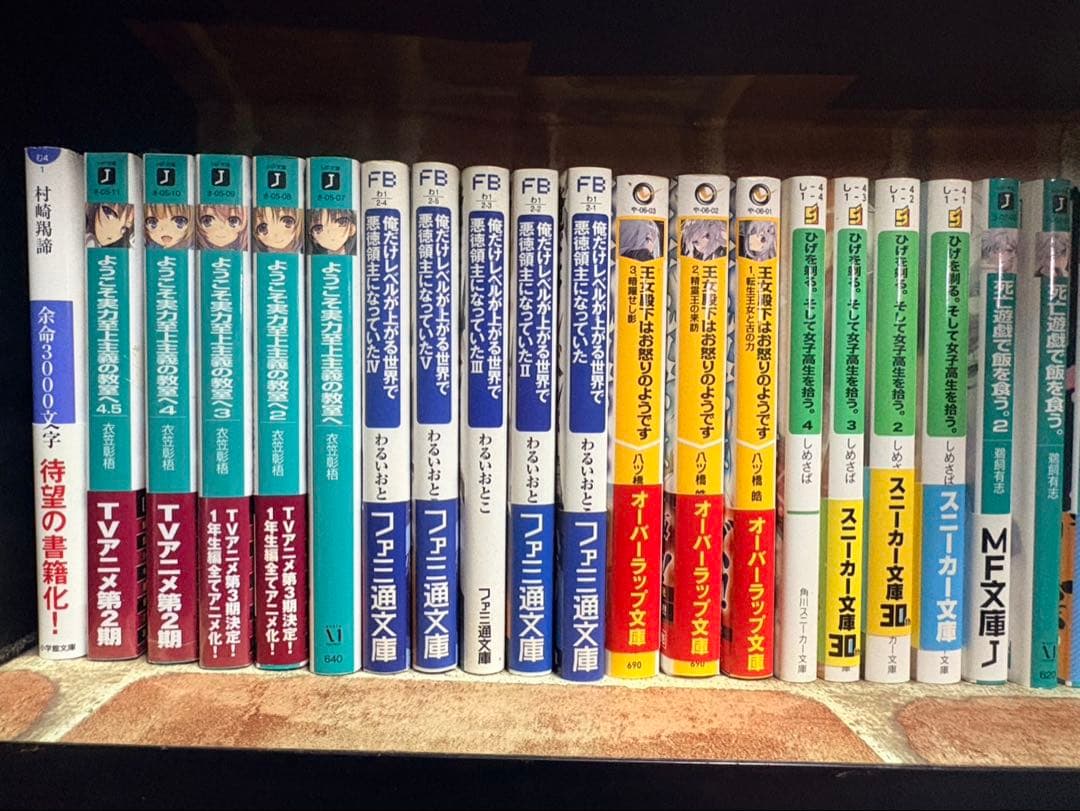 小説・漫画まとめ売り