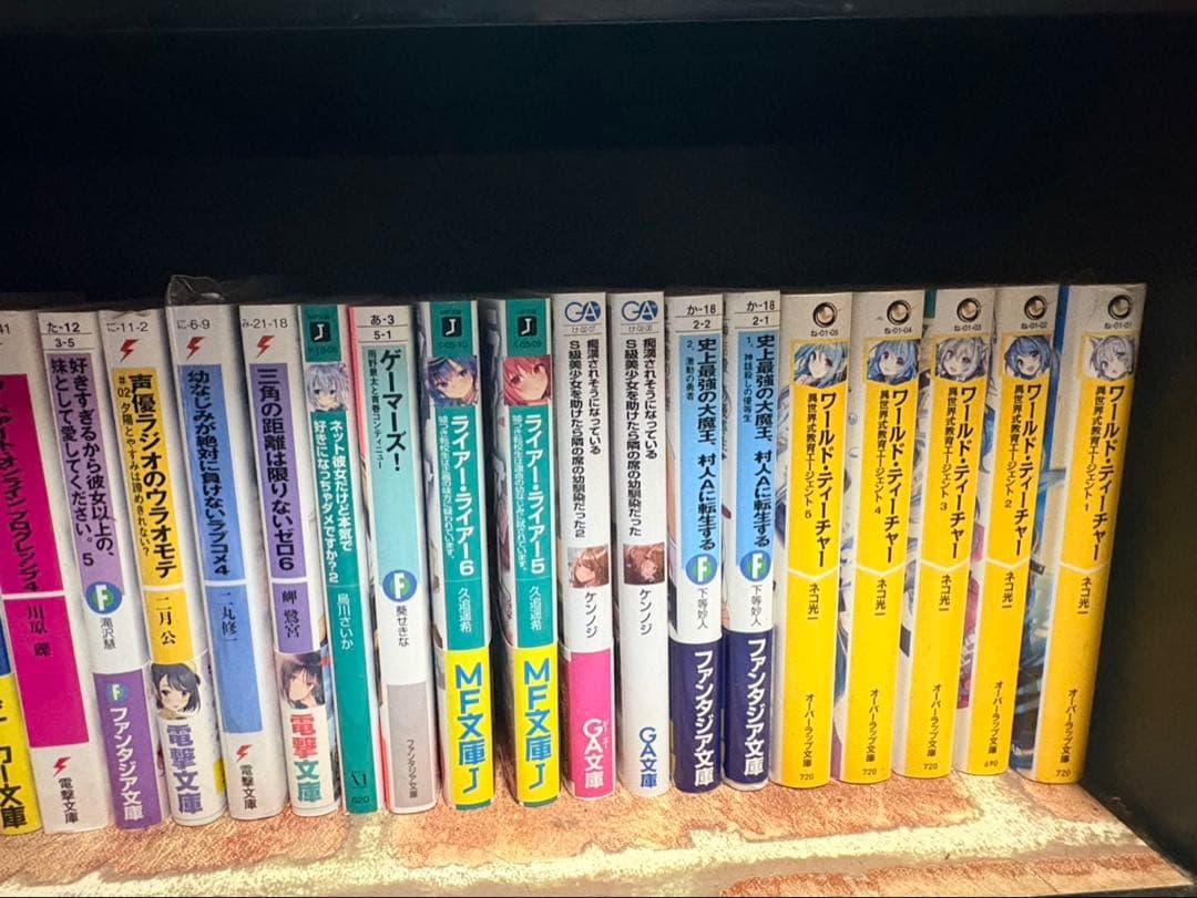 小説・漫画まとめ売り