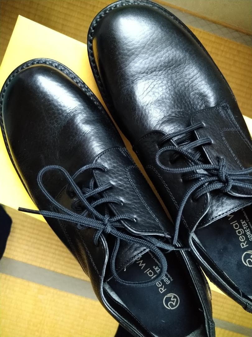 Regal Walk GORE-TEX 冬靴対応ソール 黒